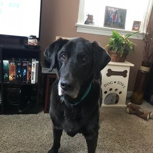 Meet your Posher, Deb